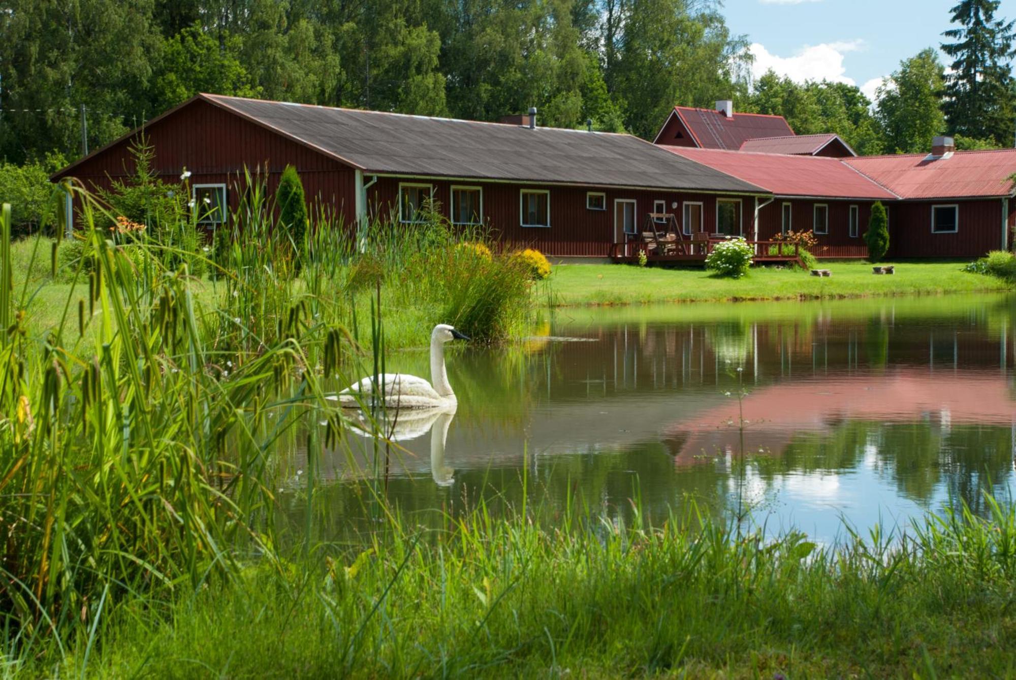 Linnamehe Puhkekeskus Kuiaru Exterior foto